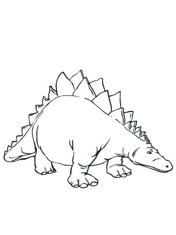 Stegosaurus Armored Stegosaurid Dinosaur Coloring Page